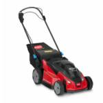 60V MAX* 21" Stripe Self-Propelled Mower (21621T)